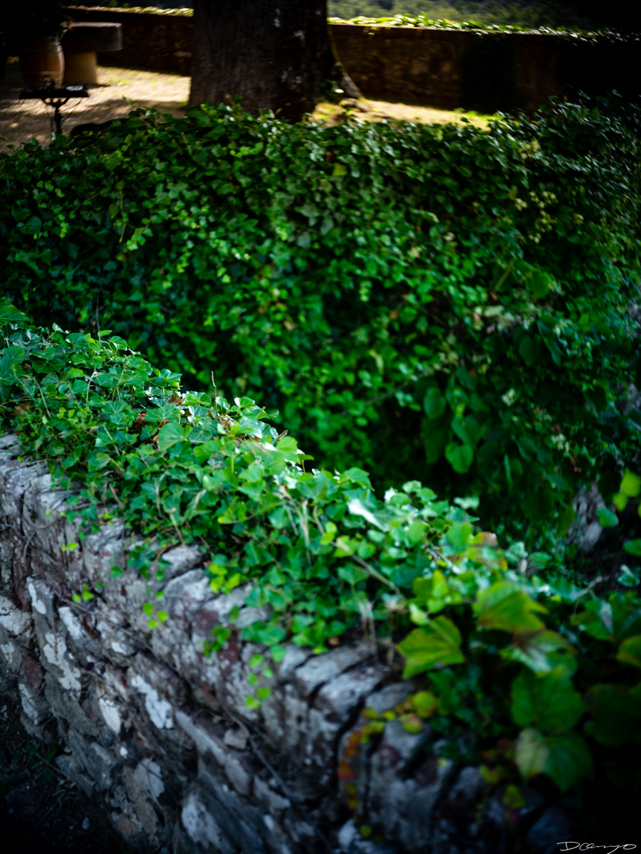Photos from a trip through Italy in Summer of 2023. Locations include Rome, Florence, Tuscany, Castello di Bossi in Chianti, Siena, San Gimignano, Sirmione on Lake Garda, Bologna, Gudon, Italian Dolomites, Seceda, Cadini di Misurina, and Venice.